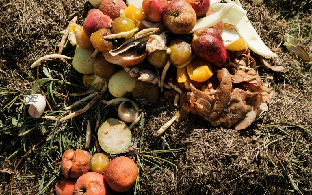 matsvinn frukt och grönt uthällt på gräsmark